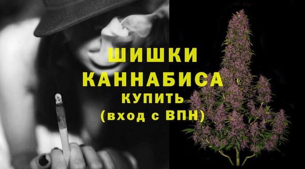 молекула духа Протвино