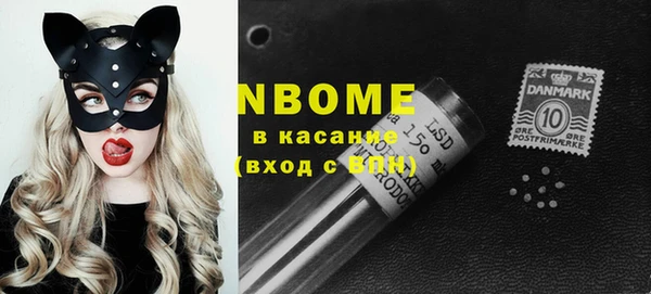 прущие грибы Покровск